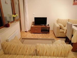 Apartment Viki Pamporovo