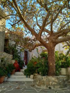 Smilis village house Naxos Greece