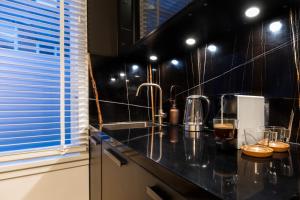 New Pearl of Scheveningen Black Swan beach a Family loft The Hague 180A