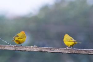 Casa rural El Encanto Guaduas