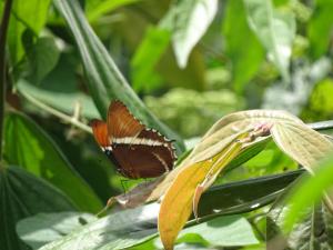 Casa rural El Encanto Guaduas