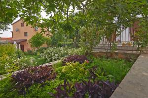 Munat in LižnjanIstrien