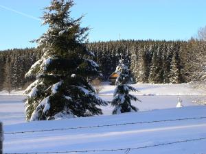 Hotels Hotel Le Progres Dorlotel : photos des chambres