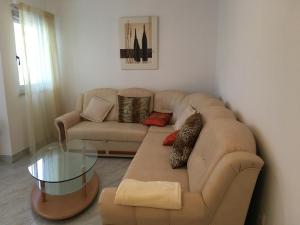 3 star pansion Apartments Palma Relaxation in a quiet location ideal for leisure activities Vabriga Horvaatia