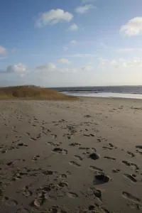 Ferienwohnung Monteurwohnung DeichBrandt - Nordbünge