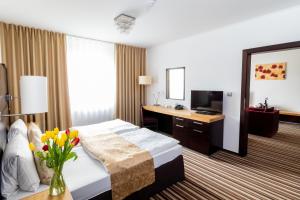 Apartment room in Parkhotel Plzen