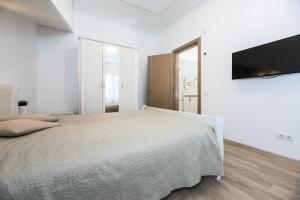 Toro apartamentai - Centras