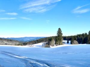 Ferienwohnung Brigach