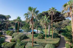 Appart'hotels Residence Pierre & Vacances La Pinede : photos des chambres