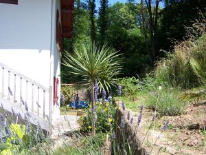 Appartements GITE IBARLA BORDA : photos des chambres