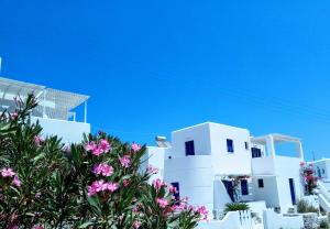 Nicos Studios & Apartments Paros Greece