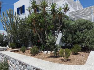 Nicos Studios & Apartments Paros Greece