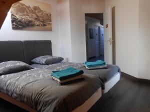 Chalets Le Chalet Carpe Diem : photos des chambres
