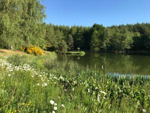 Maisons de vacances Morvan La Pastourelle : photos des chambres