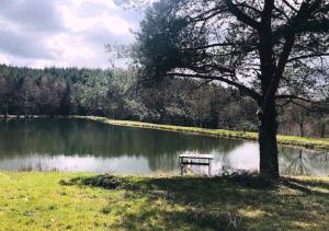 Maisons de vacances Morvan La Pastourelle : photos des chambres