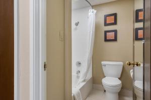 King Suite - Non-Smoking room in Comfort Inn South