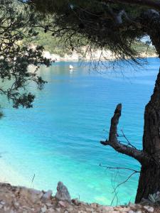 Camping Apartment Vignanotica