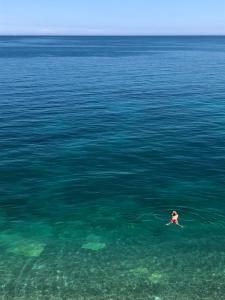 Camping Apartment Vignanotica