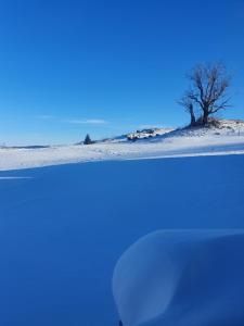 Holiday Home Vile Calimero