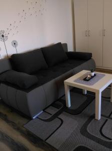 Studio Apartman Ždral