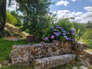 Maisons de vacances Gite Moulin de Ludieras : photos des chambres