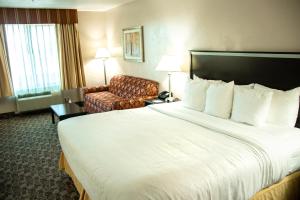 King Room - Non-Smoking room in Quality Inn Vernal near Dinosaur National Monument