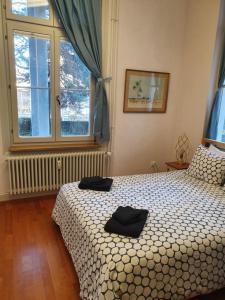 Gardenview Studio Basel