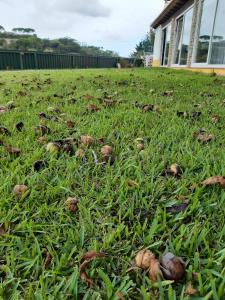Quintal do Freixo - Country House