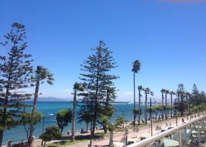 Bristol Sea View Apartments Kos Greece
