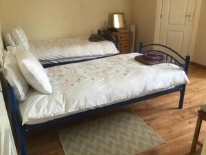 Les Hiboux photo 24