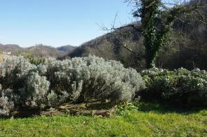 Agriturismo Corte del Maso