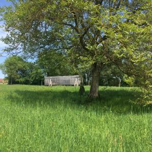 Maisons de vacances La Tiny : photos des chambres