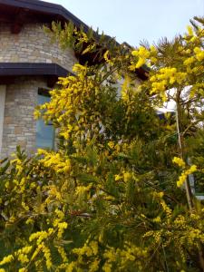 B&B Rosalu - Adults Only