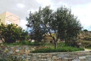 Garden house Karystos