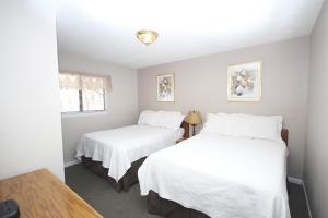 Streamside on Fall River