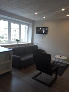 Alytus Ziburio studio