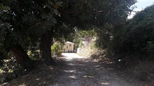 Kerkis View Houses Samos Greece