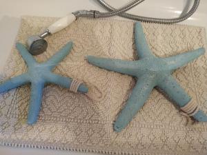 Domus Antiga Appartamenti img48