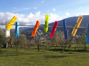 Agriturismo Braccicorti