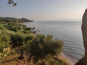 AROKARIA.APARTMENTS Messinia Greece