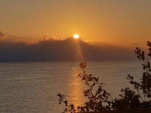 AROKARIA.APARTMENTS Messinia Greece