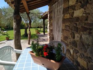 Domus Antiga Appartamenti img41