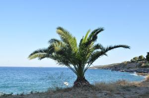 Vaggelis Traditional House Spetses Greece