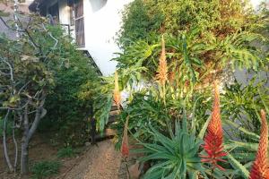 41 Ridge- self catering cottages