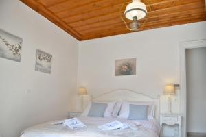 Hytte Hydra's Pearl &Yacute;dra Hellas