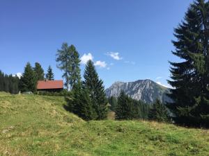 Talu Almhütte in den oberösterreichischen Alpen Spital am Pyhrn Austria