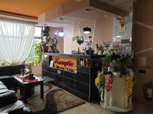3 star Отель Hotel Roxana Бая-Маре Румыния