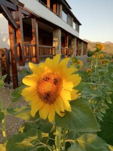 Anemomylos House