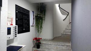 San Francisco 10 - 6 Apartamentos Boutique en el Centro - Playa Postiguet