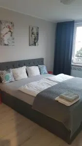 Apartament Świętoszów - Świętoszów